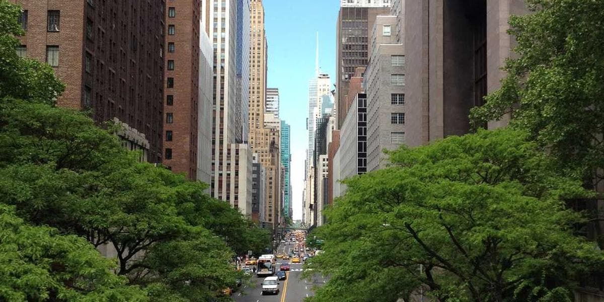 The Future of AI in Business