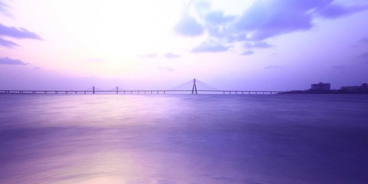 We Are Establishing Our New Branch